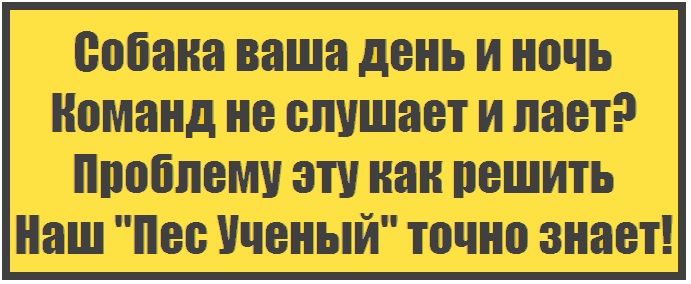 Как вы считаете какие задачи в вашем регионе прямо сейчас могла бы решить технология 5g